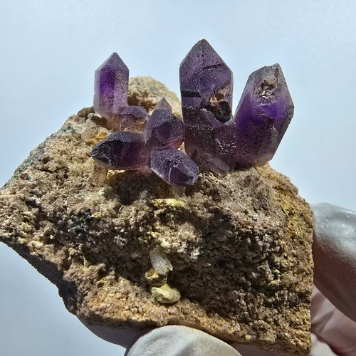 Sceptre rare améthyste - rare, en