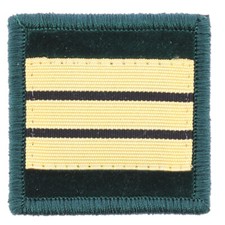 GALON DE POITRINE PHARMACIEN