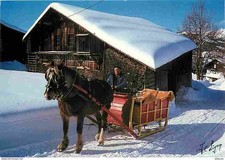 Carte Postale - Animaux -