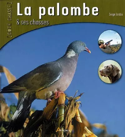 Palombe ses chasses - et,