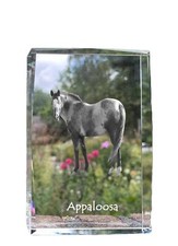 Appaloosa - Cristal Avec Einem Image de Cheval, En Verre, Moderne Exposition