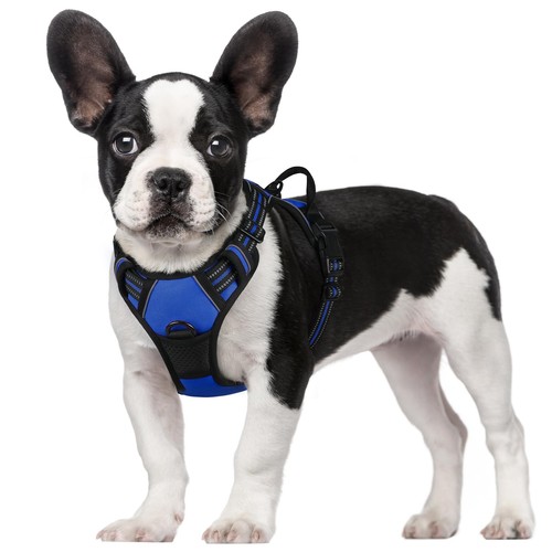 Harnais chien arnais bleu - harnais,