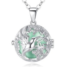 Bola de Grossesse cage Colibri