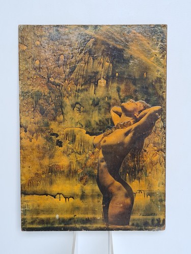 Pierre levescot tableau - pierre,