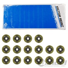 Reinz Joint De Tige De Soupape Pour Citroën Jumper Ford Mondeo Ranger Tourneo