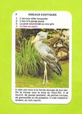 Carte N°F4 - Oiseaux exotiques - Bec en sabot