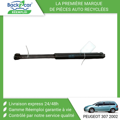 Verin hayon peugeot 307 - 🏆, g