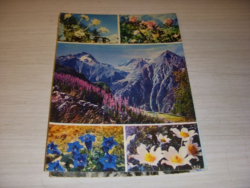 Carte postale fleurs - carte,