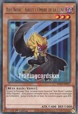 Yu-Gi-Oh! Aile Noire - Kalut l'Ombre de la Lune : R MAZE-FR037