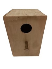 Nid Eupheme Bourke,turquoisine