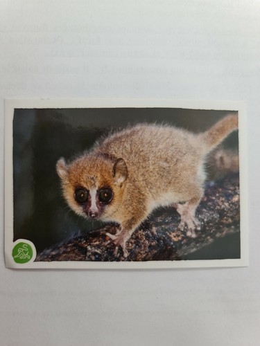 Image sticker autocollant