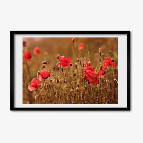 Tulup photo 60x40cm cadre - cadre, le
