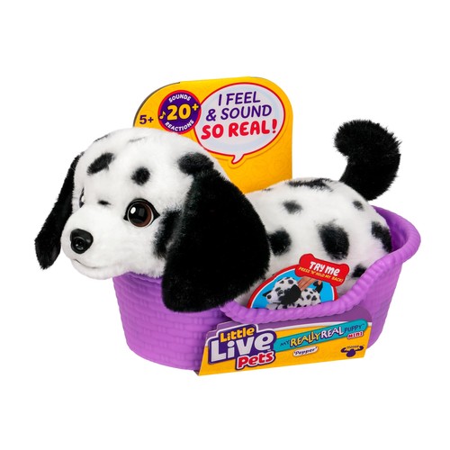 Really real puppy minis - puppy, –