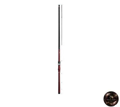 Canne pêche daiwa black - à,
