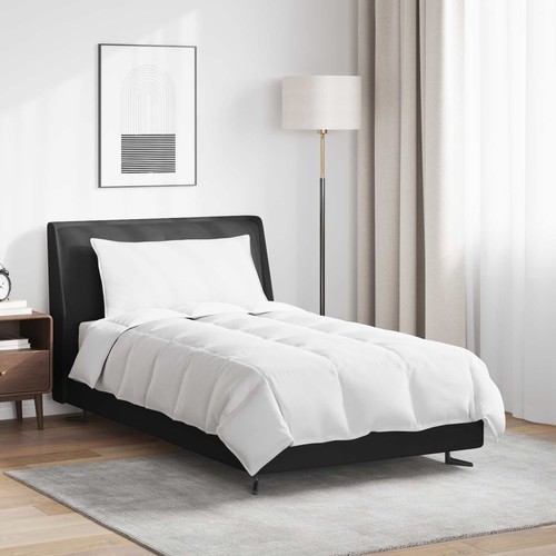 Duvet hiver avec oreiller - d'hiver, 2