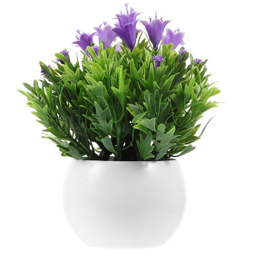 Plantes artificielles - plantes,