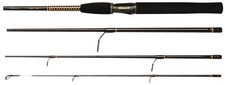 Canne pêche spinning - canne,