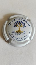 Capsule de champagne DOMAINE