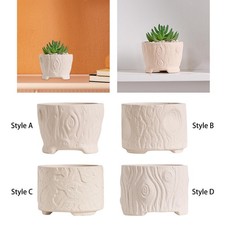 Décor de bureau d'ornement de table d'intérieur succulent de pot de fleurs