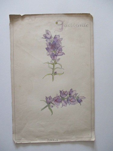 Gravure dessin aquarelle - gravure,