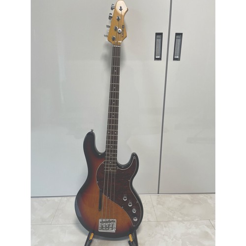 Electric bass guitar - electric, 6