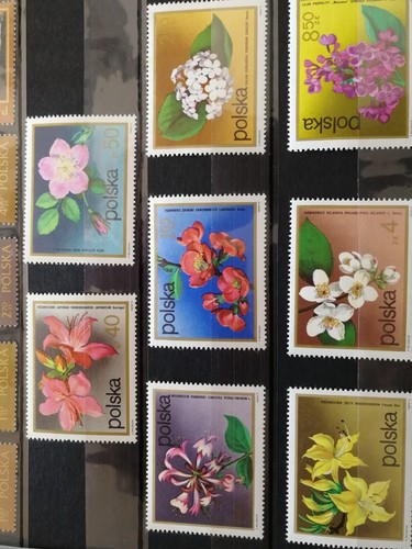 Timbres pologne neufs fleurs - timbres,