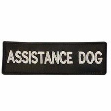 Patch d'assistance pour chien
