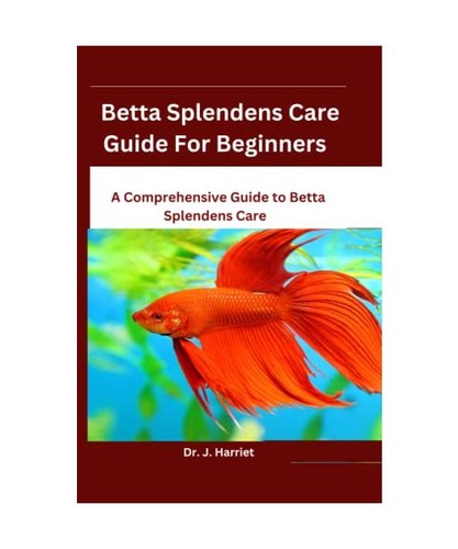 Betta splendens care guide for - betta,