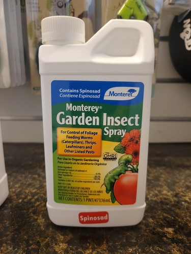 Monterey garden insect spray - garden,