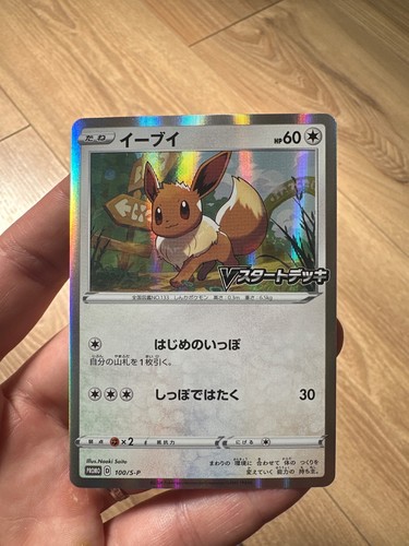 Evoli holo 100 p - holo, r