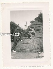 Vintage photo - man and woman with dog on hay stack, olka dot dress