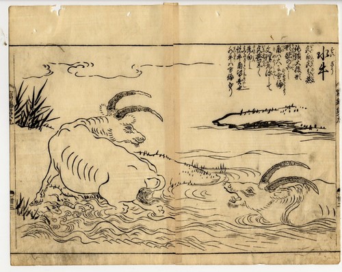UW»Estampe japonaise