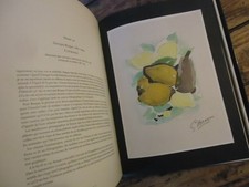 LA GRAVURE ART MAJEUR GUIDE