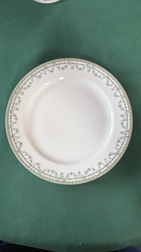 Limoges haviland porcelain - limoges,