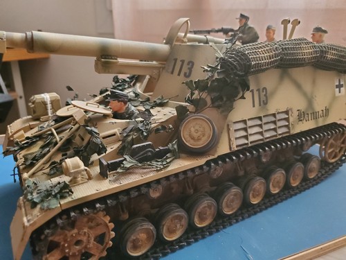 Char nashorn - char, 1/16