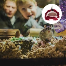  Lit Pour Hamster Accessoires