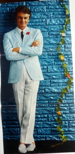 Claude francois poster - *claude,