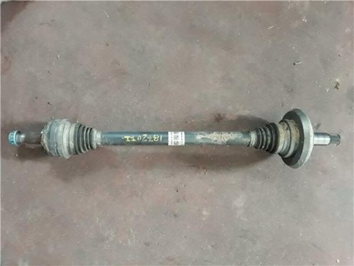 A2053503919 transmission