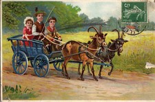 CPA ILLUSTREE ATTELAGE DE CHEVRES ENFANTS ECRITE