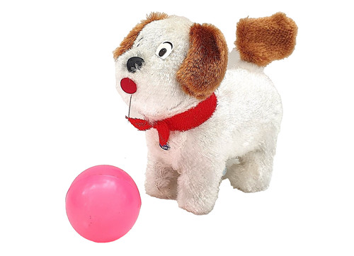 Chien terrier ballon - au,