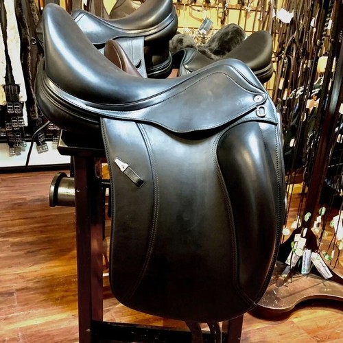 Equipe viktoria dressage - equipe,
