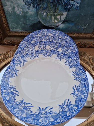 Assiettes plates terre de - 4,