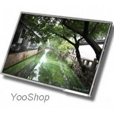 Macbook pro 17" Unibody - LCD