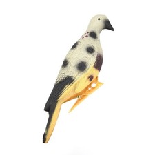 Flèche Cible Pigeon Animal