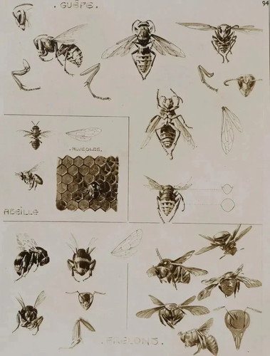 Mathurin meheut l abeille - mathurin, l'abeille