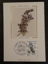CARTE PHILATELIQUE FLORE FRANCE ACONIT - CHALCOGRAPHIE DU LOUVRE - TIMBRE 5653