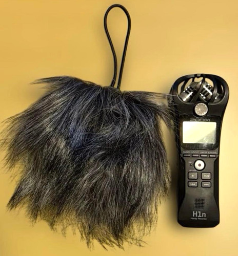 Micro audio numérique