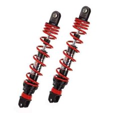 Paire Amortisseurs Arrières