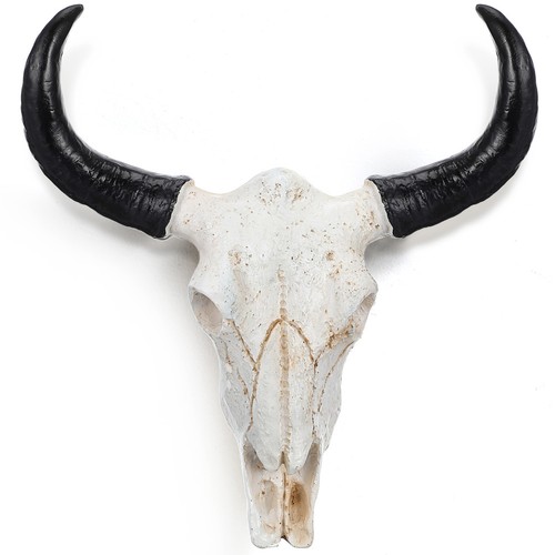 Long horn décoration - décoration, murale