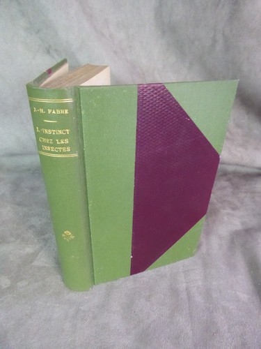 Entomologie les merveilles de - les,
